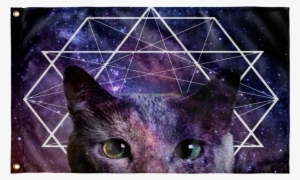 Galaxy Geometric Cat Flag - Cat #425392