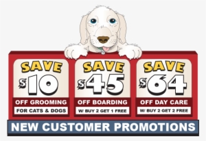 Denver Dog Day Care And Boarding Coupons - Woof In Boots #426389