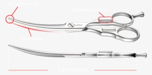 Tijeras, Shears, Scissors, Magnetic Combined Scissors, - Medical Equipment #426584 Tijeras, Shears, Scissors, Magnetic Combined Scissors, - Medical Equipment #426584