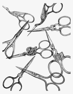 Vintage - Embroidery Scissors Drawing Bird #426607