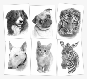 28 Collection Of Prints Drawings #426610