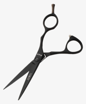 Grading Scale - Clear Background Salon Scissors #427160