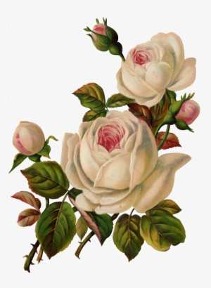 Flores Antigas #427760