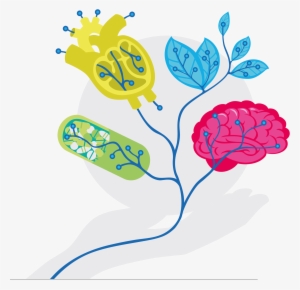 Legal Disclaimer - Information #428636