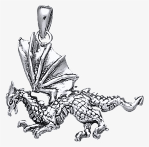 White Bronze Flying Dragon Pendant - Locket #429056