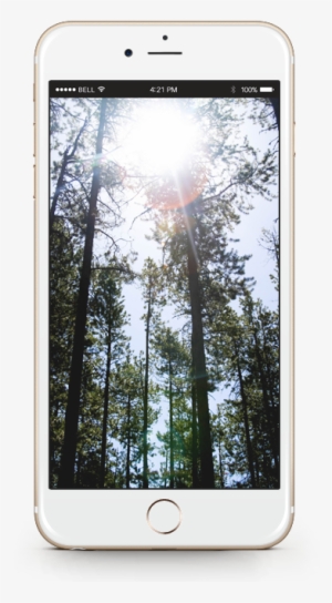 Carousel Transparent Background - You May Be Gone From My Sight But Not My Heart #429662