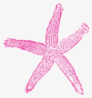 Starfish Clipart Hot Pink - Starfish Clip Art Pink #429922