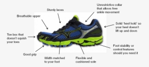 6) Look Out For These Features - Features Of A Good Shoe #4200044