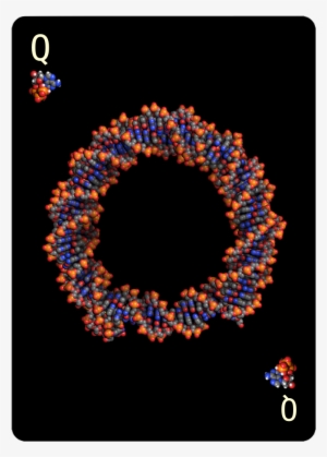 Queen Of Nucleotides - Circle #4200289