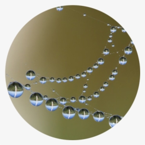 Drops Stacie Helps 2017 07 29t18 - Dew #4200493