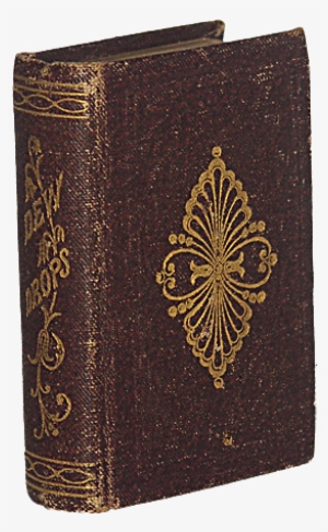 Dew Drops - Wallet #4200752