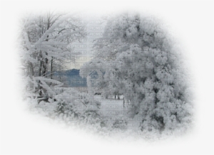 Winter #4200754