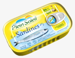 Sardine In Oil - Sardines #4200779