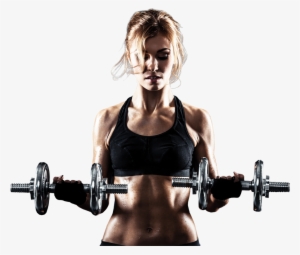 Our Program Delivers A Fitness That Is, By Design, - Body Fat Composition Scan Flyer #4200994