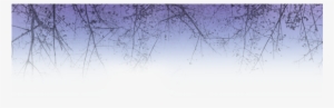 Winter-scene - Grass #4201029