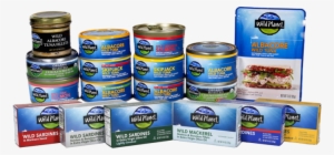 Wild Planet Products - Wild Planet Wild Albacore Tuna - 3 Oz Pouch #4201120