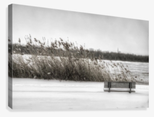 Winter Scene Canvas Print - Snow #4201259