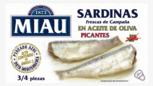 Sardines In Olive Spicy - Sardinas Miau #4201504