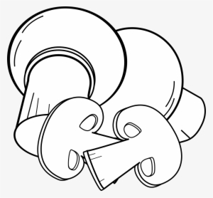 Champignons Coupés,champiñones Enteros Y Cortados,mushroom - Gambar Jamur Tiram Kartun #4202077