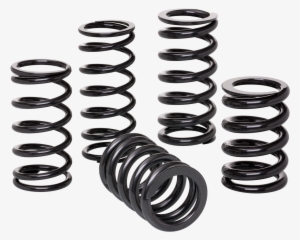 Racing Springs - Lexicon #4202440