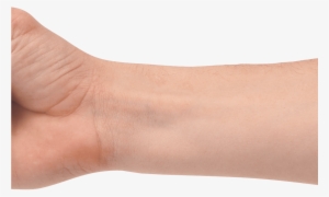 Fist Hand Transparent Png Stickpng - Hand #4202729