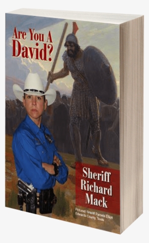 Are You A David - You A David?: America's Last Hope [book] #4203117