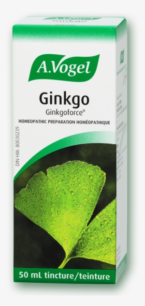 Vogel Ginkgoforce Fresh Ginkgo Biloba Extract - Choline Plus Ginkgo Biloba Syrup #4203167
