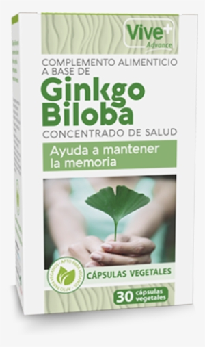Complemento Alimenticio Ginkgo Biloba #4203569