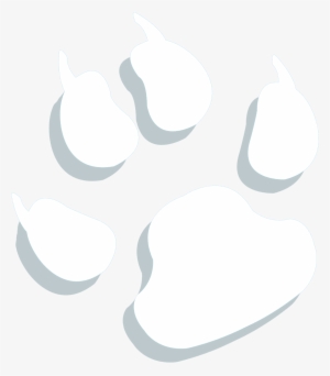 Patch Kolodziejski - Vector Graphics #4203674