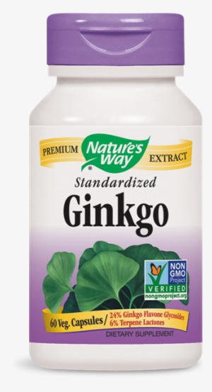 61600 - Ginkgo Standardized - Nature's Way Cranberry #4203760