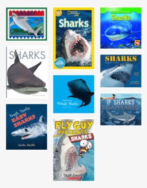 Sharks For Grades 1-3, From Multcolib My Librarian - National Geographic Readers Sharks Science Reader Level #4204603