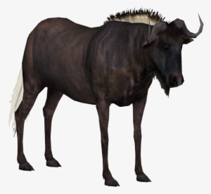Water Buffalo Png Transparent Hd Photo - Zt2 Black Wildebeest #4205408