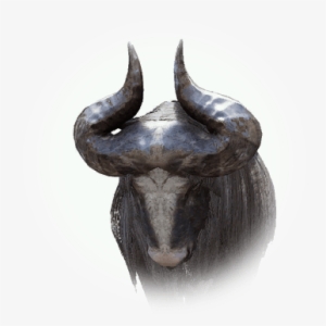 Long-haired Water Buffalo - Black Desert Online #4205455