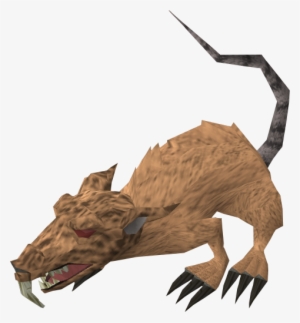 Runescape Giant Rat #4205538