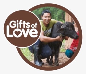 Kit Blog - Working Animal #4205835