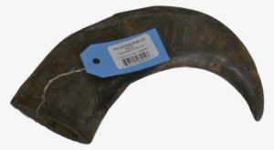 Water Buffalo #4205907