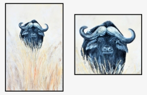 African Buffalo #4206208