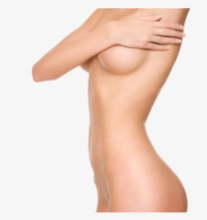 Aesthetic Breast - Brassiere #4206476