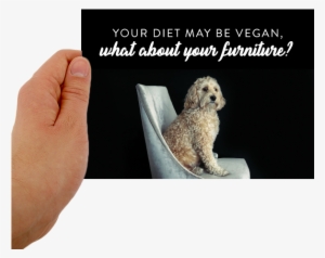 Postcard Template Front #4206495 Postcard Template Front #4206495