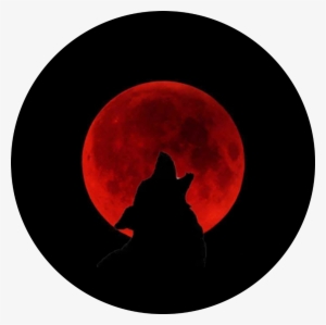 Freetoedit Wolf Howl Bloodmoon Blood Moon - Blood Red Moon #4206570