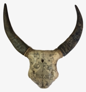 Sumba Water Buffalo Skull - Sumba #4206696