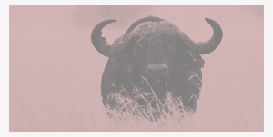 There's A Decision To Make And Only Seconds To Make - Hero #4206825