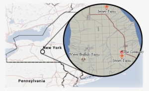 Farm Map - Farm #4206891