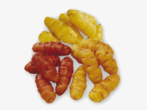 Yams - Vegetables From New Zealand #4207012