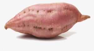 Sweet Potato Png #4207241