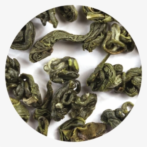 Description - Boa Constrictor #4207503