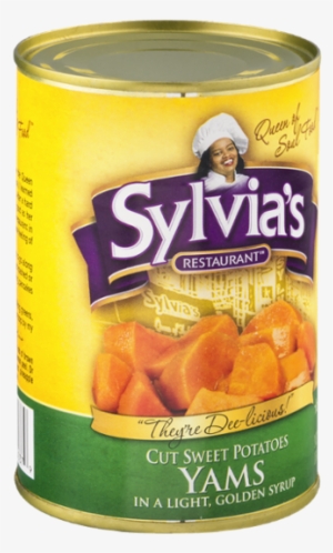 Sylvias Pinto Beans, Specially-seasoned - 15 Oz Can #4208499