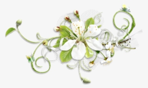 Veja Também Rosas Em Png, Flores Diversas - Flores Branco E Roxo Png #4208607