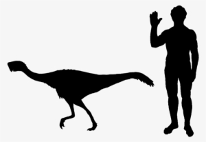 Nemegtomaia Size - Dire Wolf Human Size Comparison #4208893