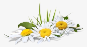 Flor - Ramo De Flores Em Png #4209158